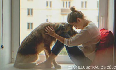 Apám kutyája a halála után eljött hozzám és úgy nyüszített, hogy muszáj volt követnem őt
